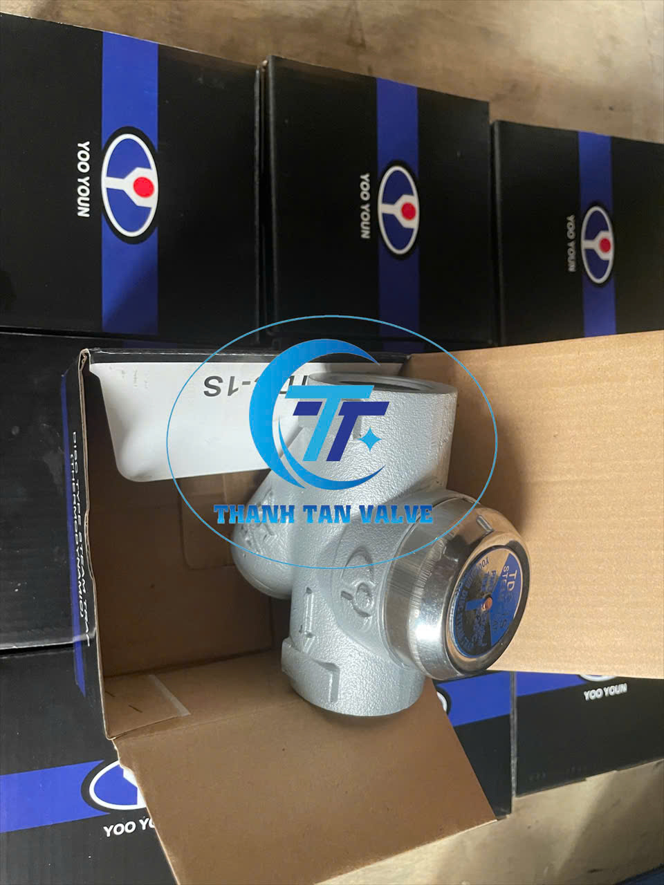 BÂY HƠI ĐỒNG TIỀN PHI 27