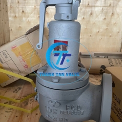 VAN AN TOÀN HƠI NÓNG DN50